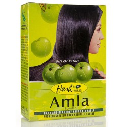 HESH POUDRE AMLA 100 GM