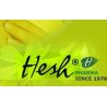 HESH PHARMA